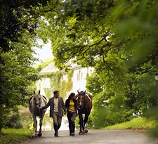 Ireland-Kilkenny-Mount Juliet Equestrian, Golf and Spa Retreat
